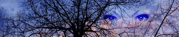 NaturalVisionTreeOfKnowledge NaturalVisionTreeOfKnowledge